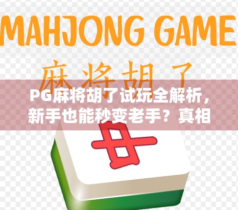 PG麻将胡了试玩全解析，新手也能秒变老手？真相竟让人意外！