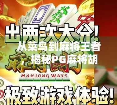 从菜鸟到麻将王者，揭秘PG麻将胡了高手的逆袭之路